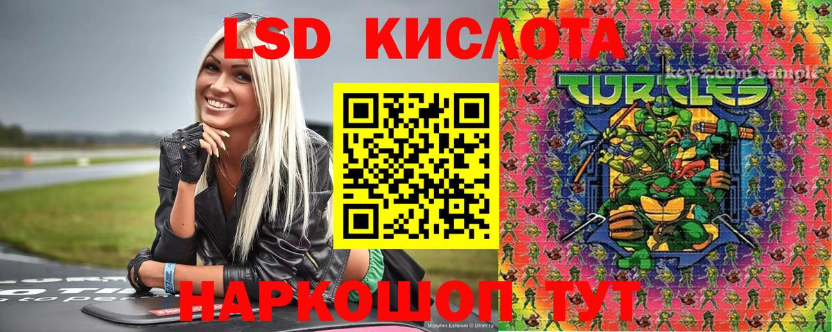 Шелехов  Наркотические марки 1500мкг  Наркотические марки 1500мкг  Марки NBOMe  Вход с VPN 