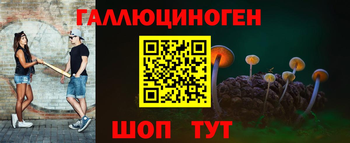 Шелехов  Псилоцибиновые грибы MAGIC MUSHROOMS  Вход с VPN 